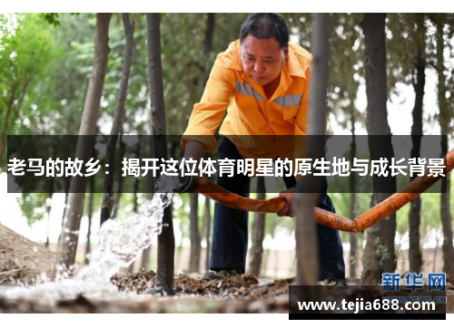 老马的故乡：揭开这位体育明星的原生地与成长背景