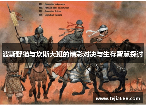 波斯野猫与坎斯大班的精彩对决与生存智慧探讨