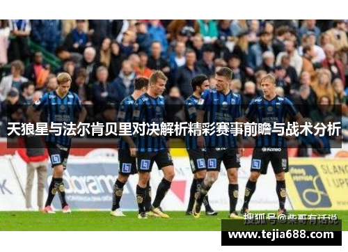 天狼星与法尔肯贝里对决解析精彩赛事前瞻与战术分析